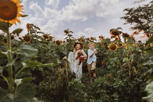 brother and sister, mini golden doodle, sunflower field