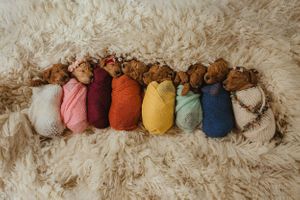 newborn session in Centralia, IL studio session, mini poodles, mini golden doodles, foliage, wrapped