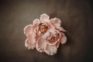 newborn session in Centralia, IL studio session, baby girl, foliage, wrapped, flower